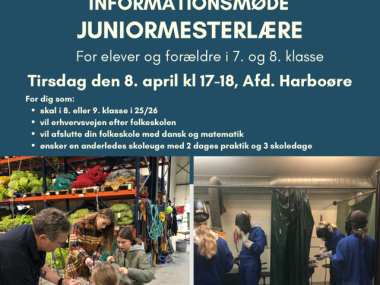 Juniormesterlære